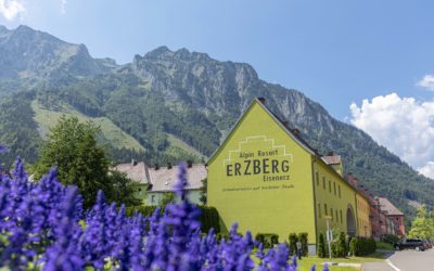 Alpin Resort Eisenerz – EUR 149.900